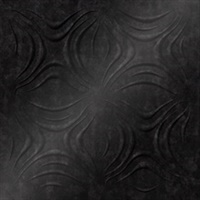 Black Decorative Ceiling Panels