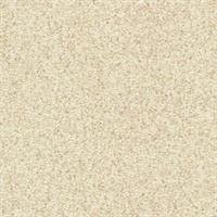 2890-5469, Arya Light Brown Fabric Texture