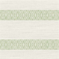 Southwest Tribal Geo Stripe Aloe