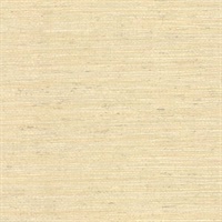 Allen Beige Faux Grasscloth