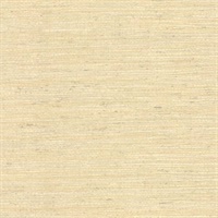 Allen Beige Faux Grasscloth