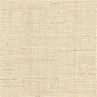 Almeida Beige Burlap Weave