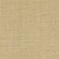 Almeida Brown Burlap Weave