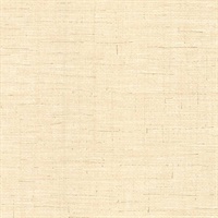 Almeida Cream Burlap Weave