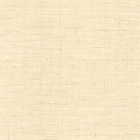 Almeida Cream Burlap Weave