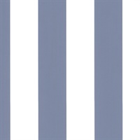 Anaheim Stripe Blue