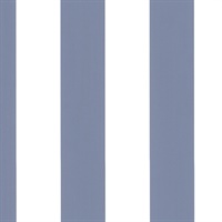 Anaheim Stripe Blue