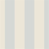 Anaheim Stripe Light Blue