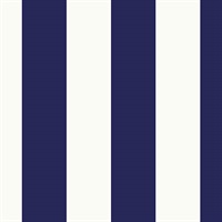 Anaheim Stripe Navy Blue