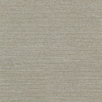 Analyte Aged Silver