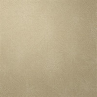 Anything Goes Perfect Taupe Geometric Starburst