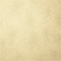Anything Goes Saw Dust Geometric Starburst