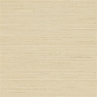 Arani Silk Raffia