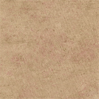 Athene Tan/Lacquer Commercial Wallcovering