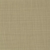 Aura Aluminum