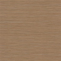 Barege Texture Bois