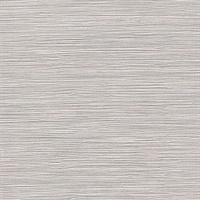 Barege Texture Ciel