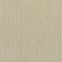 Barton Graphite