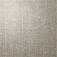 Batiste Silver Modern Silk Linen