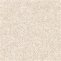 Beige Smooth Texture