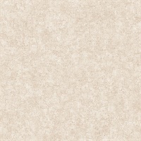 Beige Smooth Texture