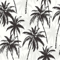 Black, Grey & White Commercial Palm Trees Wallcovering