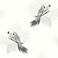 Black, Grey & White Commercial Parrot Birds Wallcovering