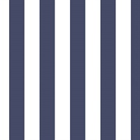 Blue & White Stripe
