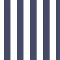 Blue & White Stripe