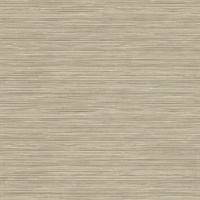 Bondi Beige Grasscloth Texture