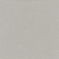 Canon Ball Taupe Splattered Dots Wallcovering