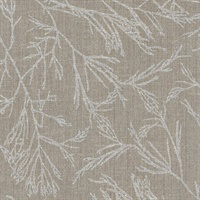 Canyon Willow Shale