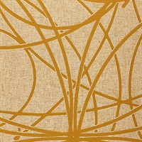 Cassini Maple