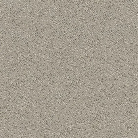 L2-CL-06 | Grey Filament Type Commercial Vinyl Wallcoverings