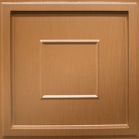 Check Yes Ceiling Panels New Penny