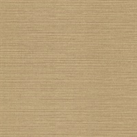 Chenille Beige Texture