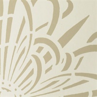 Chrysanthemum Cafe Au Lait