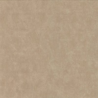Clegane Light Brown Plaster Texture