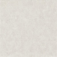 Clegane Light Grey Plaster Texture
