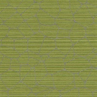 Coda Moss