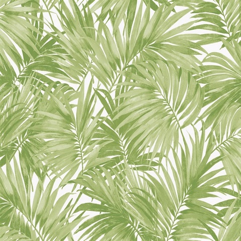 Tropical Palm Leaf Spring Green