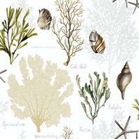 Cream, Beige, Grey & Green Commercial Sea Shells Floral Wallcovering