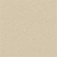 Desert Sand Cream Beige