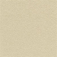 Desert Sand Neutral Beige