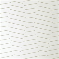 Echo Ivory