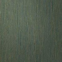 Empire WC Color of Money Vertical Silk Textured