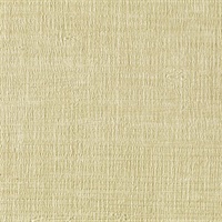 Faux Grasscloth Weave Texture