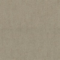 Frost Brown Texture