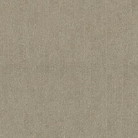 Frost Brown Texture