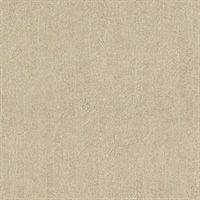 Frost Taupe Texture